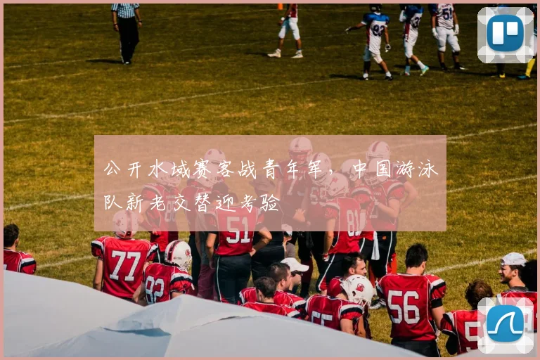 公开水域赛客战青年军，中国游泳队新老交替迎考验