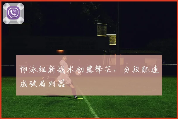 仰泳组新战术初露锋芒，分段配速成破局利器