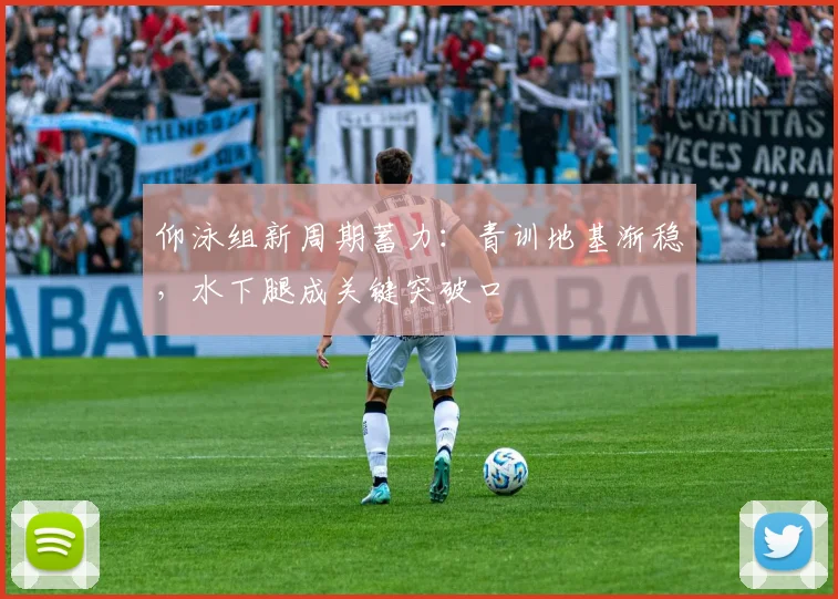 仰泳组新周期蓄力：青训地基渐稳，水下腿成关键突破口