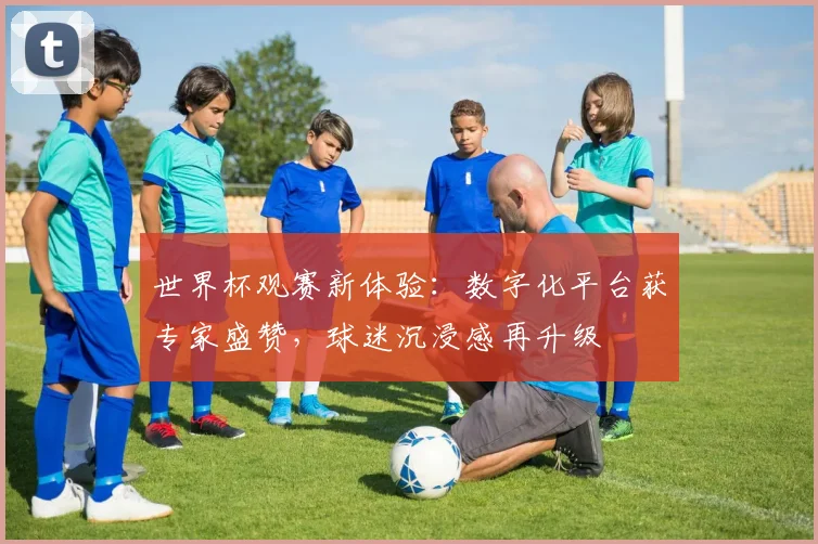 世界杯观赛新体验：数字化平台获专家盛赞，球迷沉浸感再升级